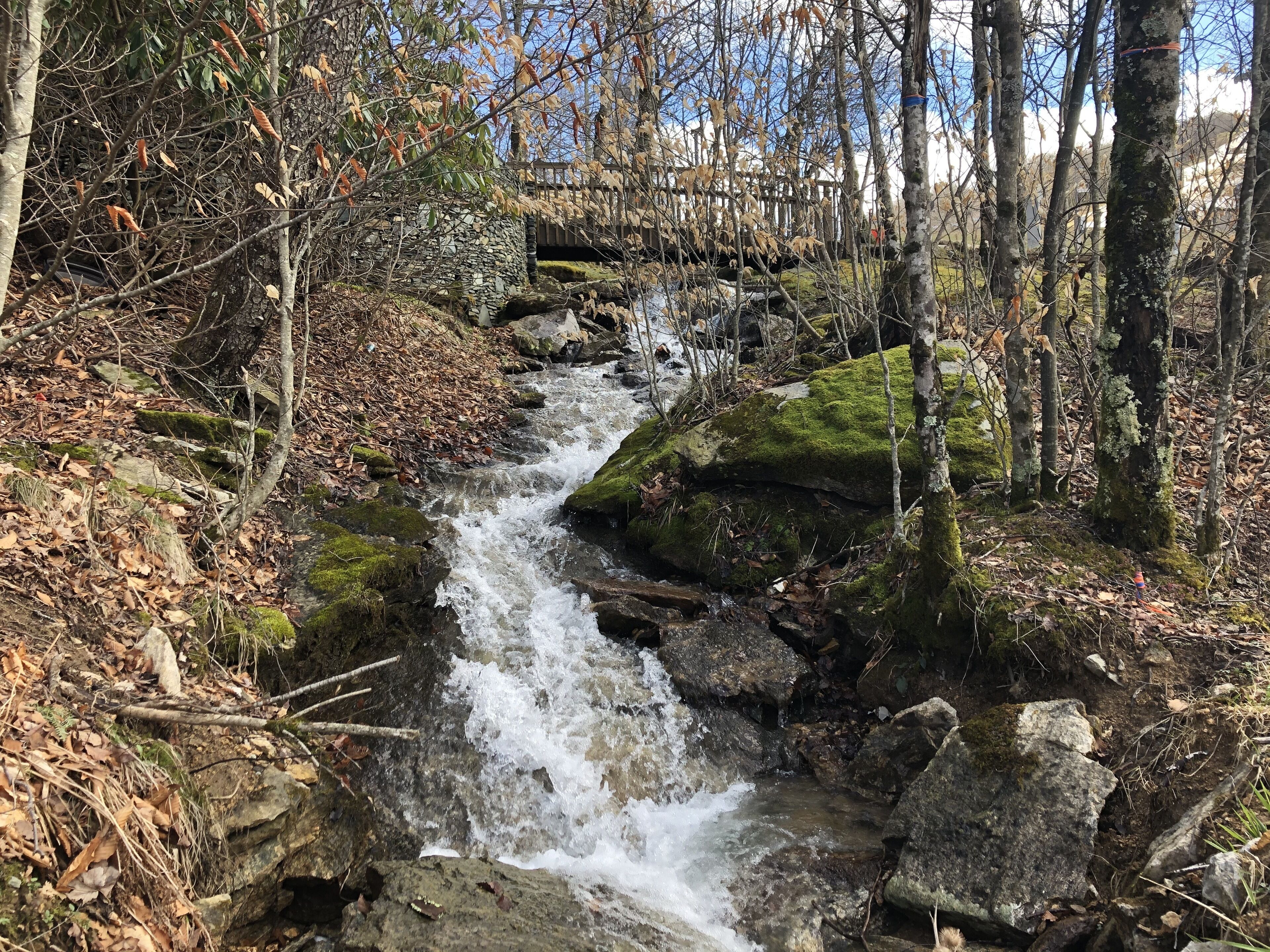 Un cours d’eau naturel qui traverse une zone boisée, avec des rochers et de la mousse.