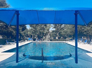 Pool - South Austin Oasis.  (Austin)