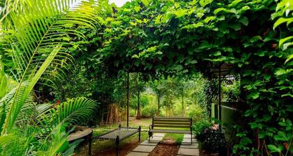Amazing Place with mountain view stay/Coimbatore