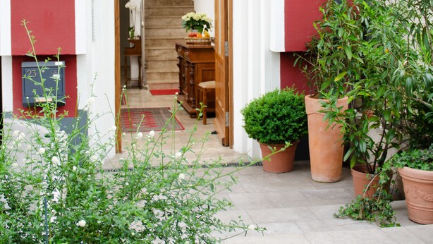 A front entrance with a wooden staircase, potted plants, and a mailbox.