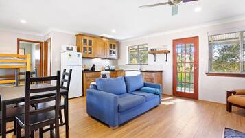 TV, fireplace, DVD player