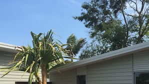 Ein Haus mit einer Veranda, zwei Stühlen und einer Palme.