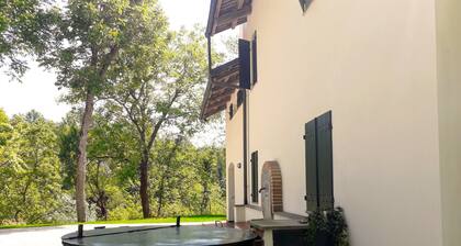 America nei Boschi B&B
