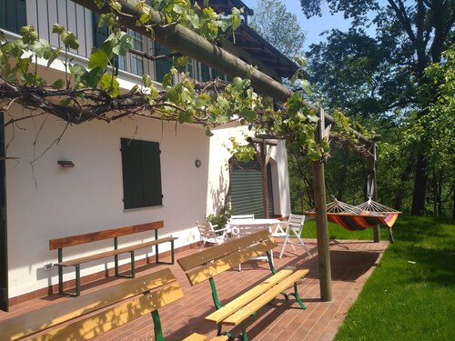 America nei Boschi B&B