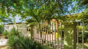 A gated residential area with a paved pathway, surrounded by lush greenery and palm trees. - Palm Beach home with private pool (Noord)