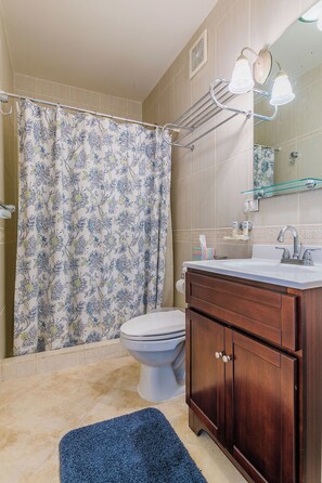 Hair dryer, towels, soap, shampoo