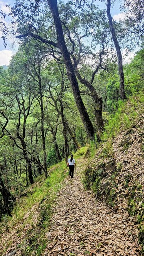 Hiking
