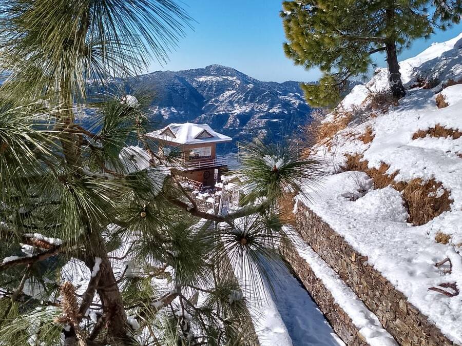 Una cabaña en la montaña con techo nevado, rodeada de pinos y un cielo azul despejado.