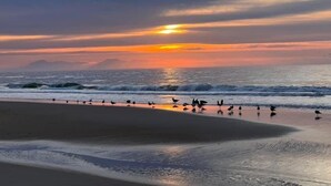 Une plage avec des vagues et des oiseaux au coucher du soleil.