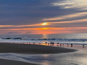 Beach nearby, sun loungers