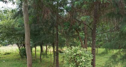 Casa de Paul cheruiyot