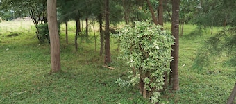 Paul cheruiyot house