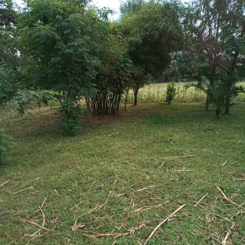 Paul cheruiyot house