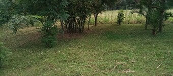 Paul cheruiyot house