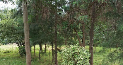 Property is located at kanusin village near Chepeyan pry school,near main roads