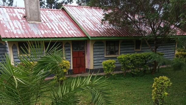 A house with a red door, a green porch, and a grassy yard with small bushes and a palm tree. - Property is located at kanusin village near Chepeyan pry school,near main roads (Bomet)