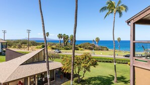 A view of a building with a sloped roof, a lawn with palm trees, and a clear view of the ocean.