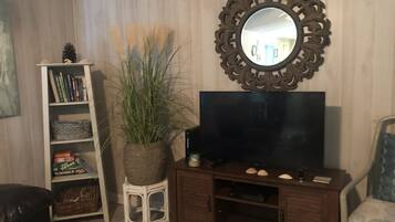 Smart TV, DVD player, books