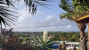 A view of a coastal town with a prominent white flower in the foreground, a wooden structure with a thatched roof, and a backdrop of houses and greenery. - LUXURY HILLTOP VILLA "Het Catshuis" - Private Pool & Panoramic Views (Willemstad)