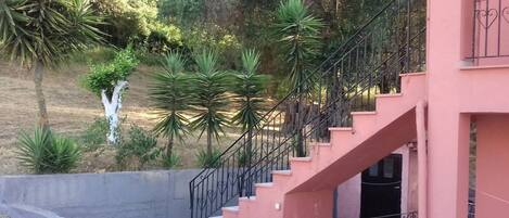 المنطقة المحيطة بالمنشأة