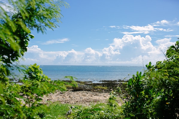 Playa en los alrededores