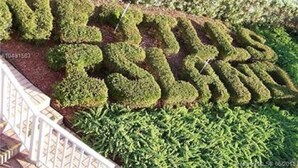 A landscaped garden with neatly trimmed hedges and a white fence. - Enjoy "Island Cabana" (Jensen Beach)