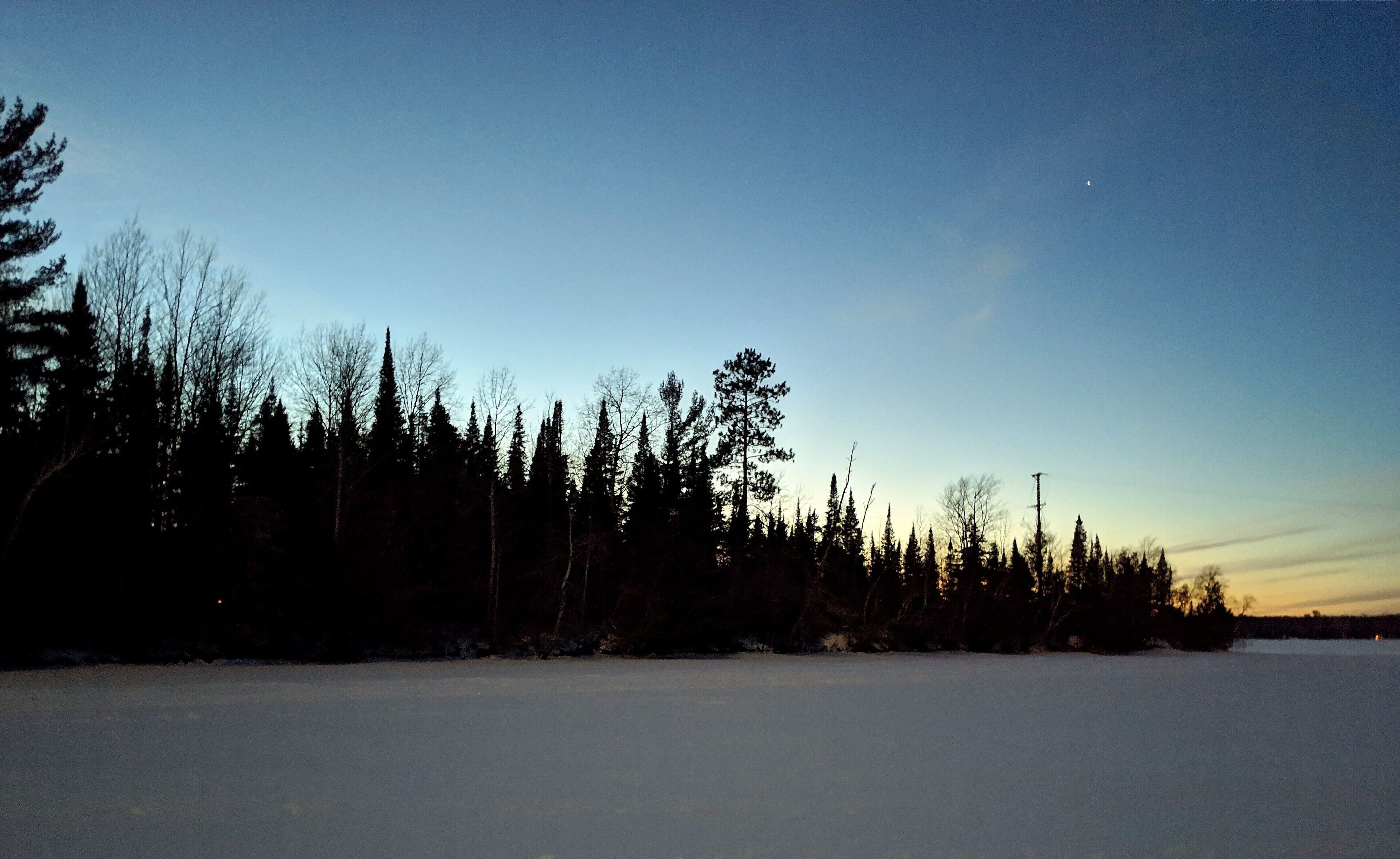 A snowy landscape with a clear sky and a few trees.
