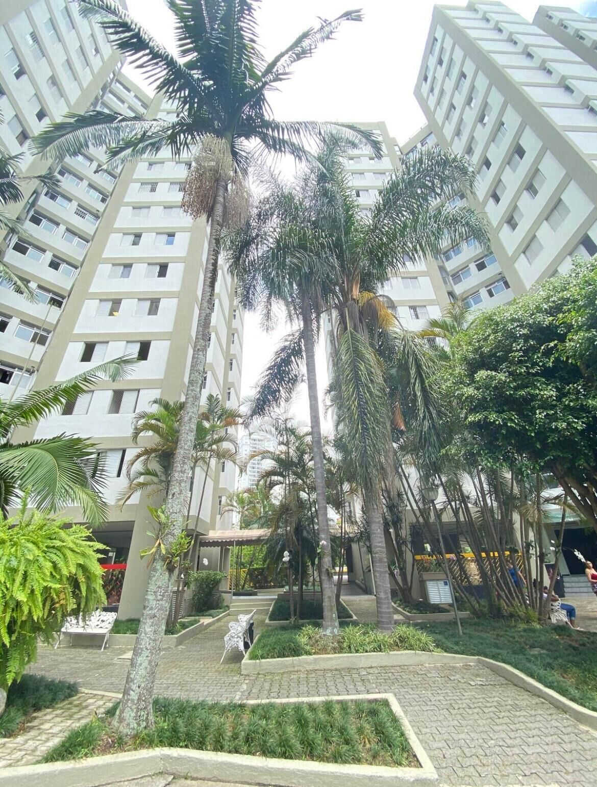 Área da propriedade