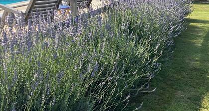 Le Mûrier gite - un gßte de détente dans la campagne viticole bordelaise
