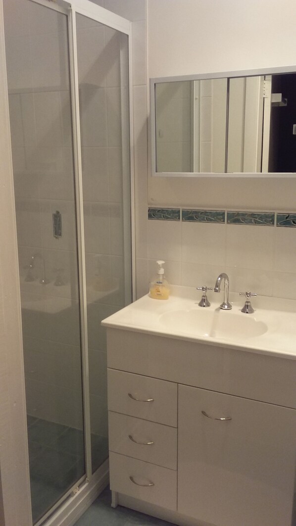 A bathroom with a glass shower enclosure, a white sink with a mirror above it, and a soap dispenser on the sink. - Pass and Pause Bedsit Holiday Accommodation (Thirroul)