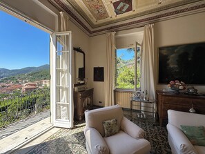 Télévision, cheminée, lecteur de DVD, livres