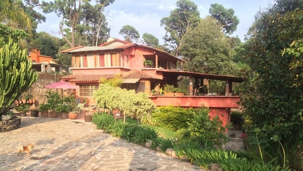 Un patio empedrado con un edificio de techo rojo, rodeado de abundante vegetación y plantas en macetas.
