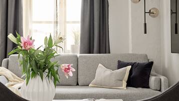 Smart TV, Netflix, servicios de streaming y oficina