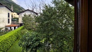 Ein Innenhof mit einem ordentlich geschnittenen Heckenstreifen, einem großen Baum und traditionellen Gebäuden mit Bergpanorama.