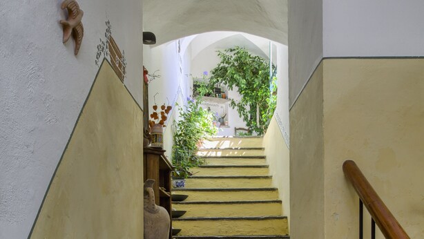 Eine Treppe mit gelben Stufen und einem Holnänder, die zu einem überdachten Bereich mit Pflanzen und Blick auf ein Gebäude im Hintergrund führt.