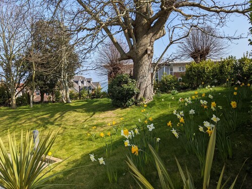 Highlands Apt 3 -  garden, sea views, free wifi + parking