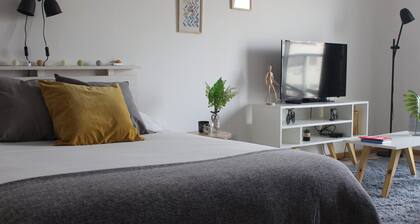 Bright & Cozy Apart near City Center, Caballito