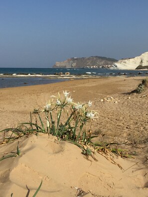 On the beach, sun-loungers, beach towels