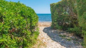 Ein Pfad führt zu einem Strand, gesäumt von üppiger Vegetation.