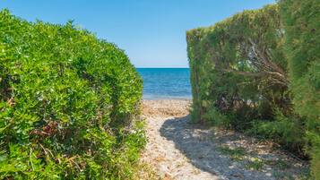 En sti der fører ned til en strand, flankeret af frodig vegetation.