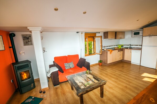 TV, fireplace, DVD player, books