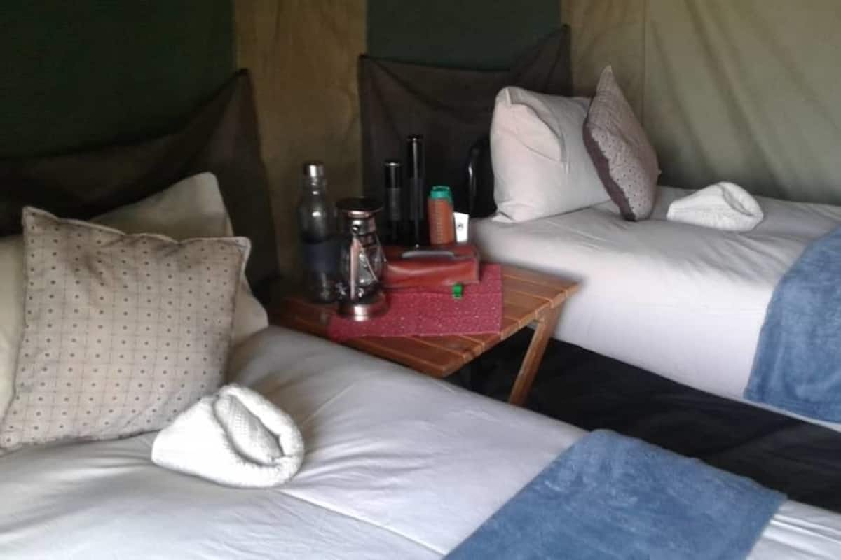 Tenda Luxury | Con arredamento individuale, una scrivania, ferro/asse da stiro