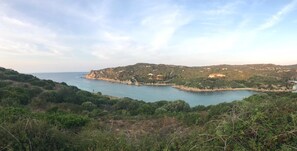 Nicht klassifiziertes Bild, 3 von 8, Schaltfläche