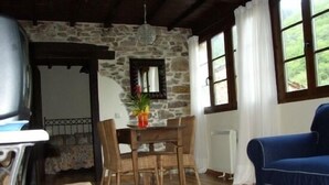 TV, fireplace, DVD player, books