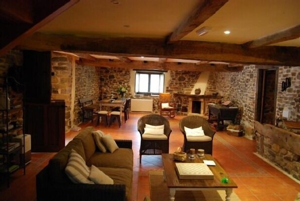 TV, fireplace, DVD player, books