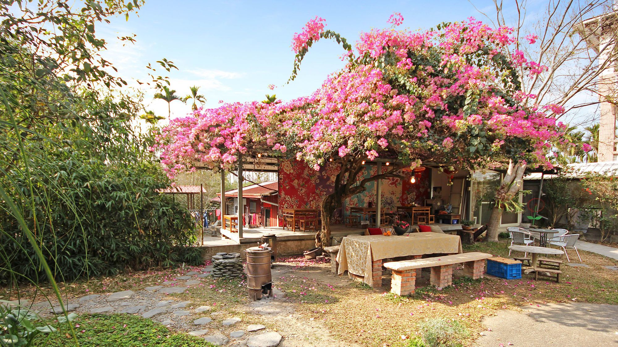 พื้นที่บาร์บีคิว/ปิกนิก