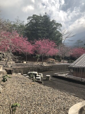 Pemandangan gunung