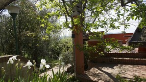 Property grounds - VILLINO LA CASETTA - Castelnuovo Magra - Independent Villa dipped in the green of secular olives, on the border between Liguria and Tuscany close to the Cinque Terre. (Castelnuovo Magra)