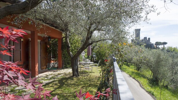 Property grounds - VILLINO LA CASETTA - Castelnuovo Magra - Independent Villa dipped in the green of secular olives, on the border between Liguria and Tuscany close to the Cinque Terre. (Castelnuovo Magra)