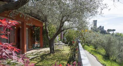 VILLINO LA CASETTA - Castelnuovo Magra - Independent Villa dipped in the green of secular olives, on the border between Liguria and Tuscany close to the Cinque Terre.